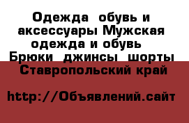 Одежда, обувь и аксессуары Мужская одежда и обувь - Брюки, джинсы, шорты. Ставропольский край